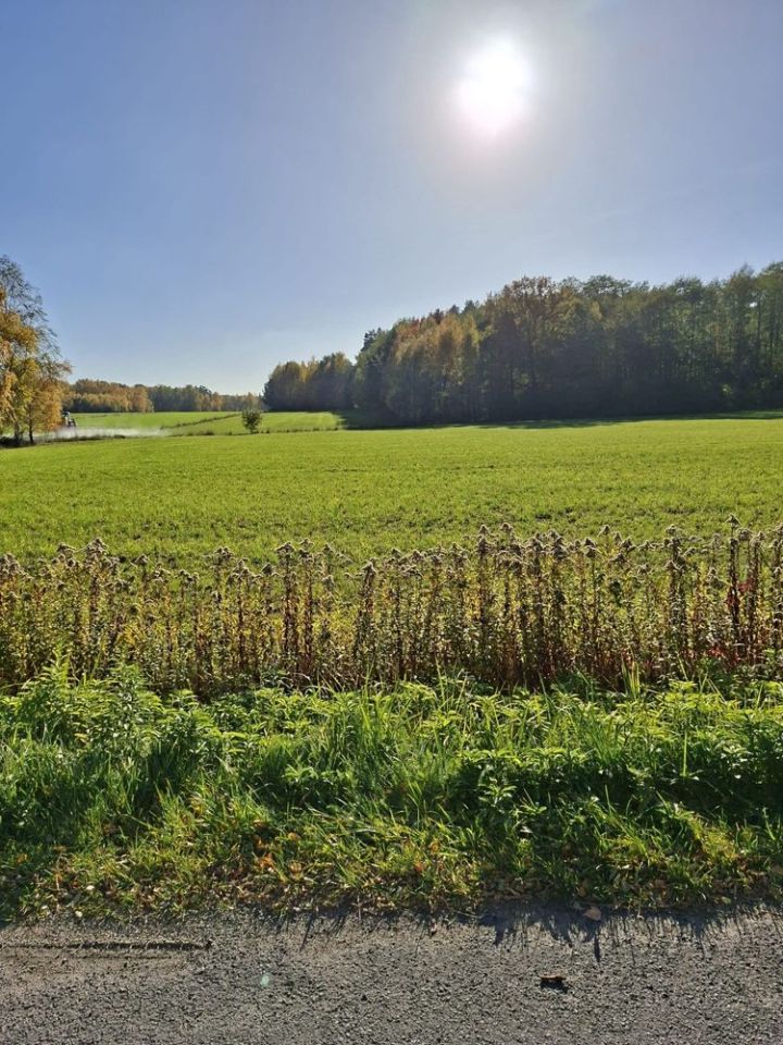 Działka rolna Bębnów. Zdjęcie 2