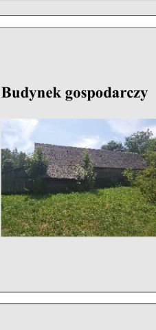 Działka siedliskowa Radzików-Oczki. Zdjęcie 7