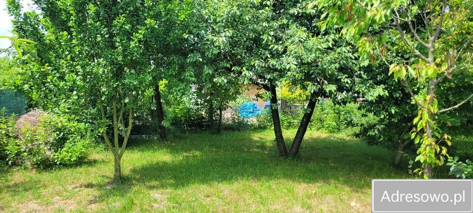 Działka rod Prudnik. Zdjęcie 5