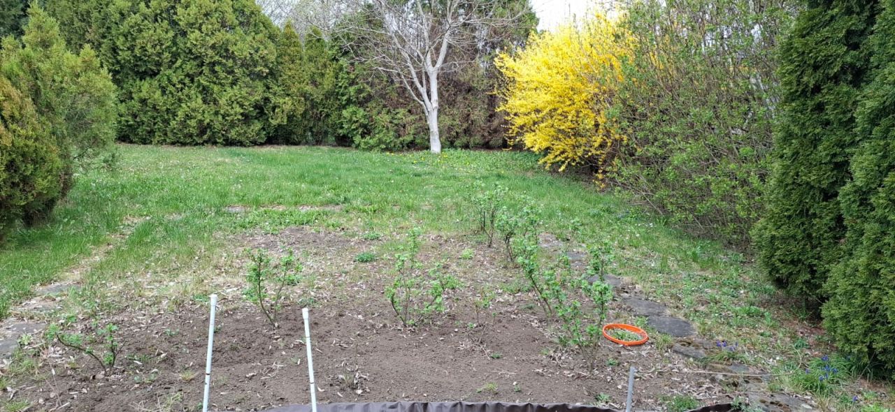 Działka rod Wrocław Osobowice, ul. Paprotna. Zdjęcie 3