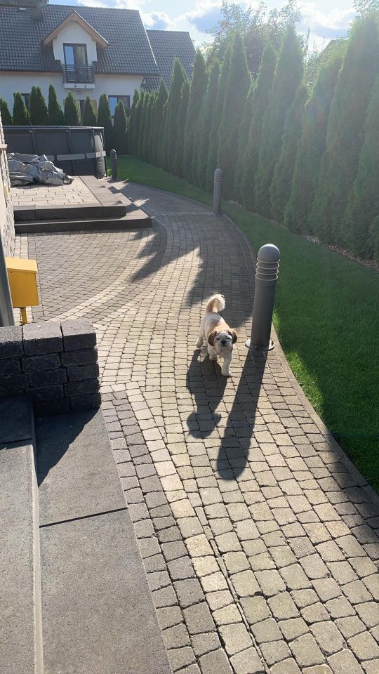 dom wolnostojący, 6 pokoi Strzegom, ul. Malinowa. Zdjęcie 12