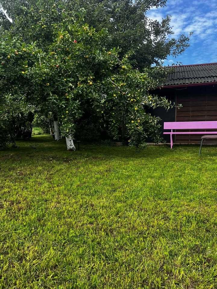 Działka rod Pruszcz Gdański, ul. Powstańców Warszawy. Zdjęcie 3