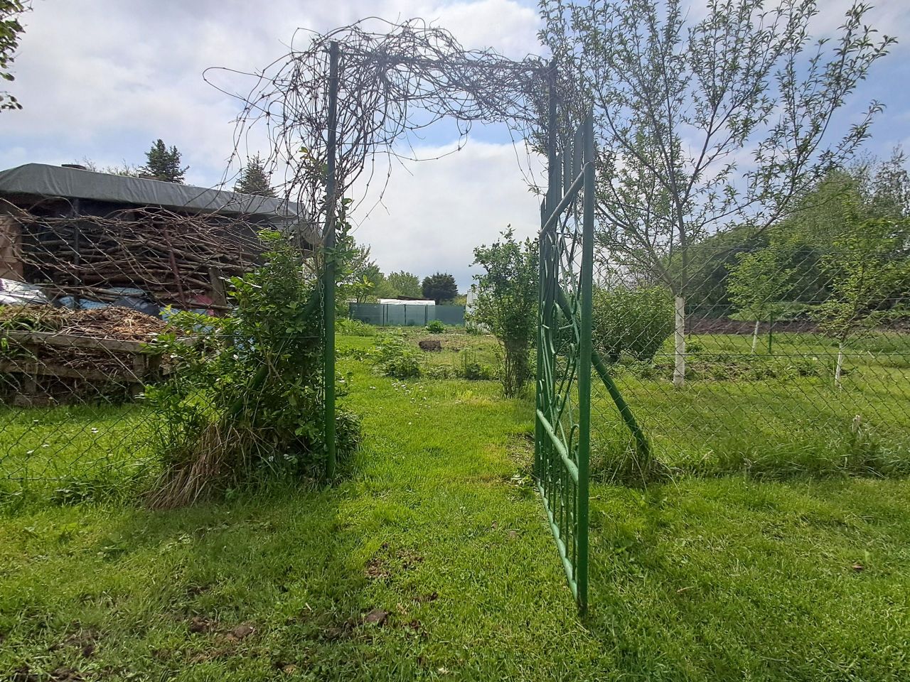 Działka rod Krasnystaw Zakręcie, Kołowrót. Zdjęcie 1