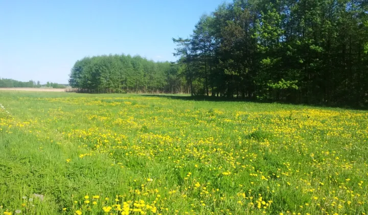 Działka rolno-budowlana Obryte