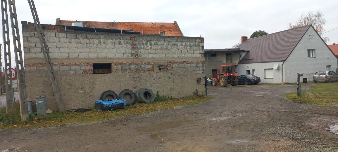 Nieruchomość komercyjna Piława Dolna. Zdjęcie 3