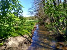 Działka siedliskowa Bożepole Wielkie. Zdjęcie 1