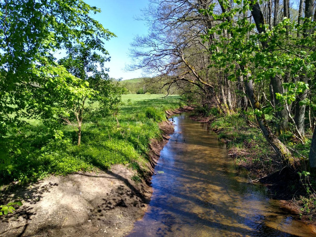 Działka siedliskowa Bożepole Wielkie. Zdjęcie 2