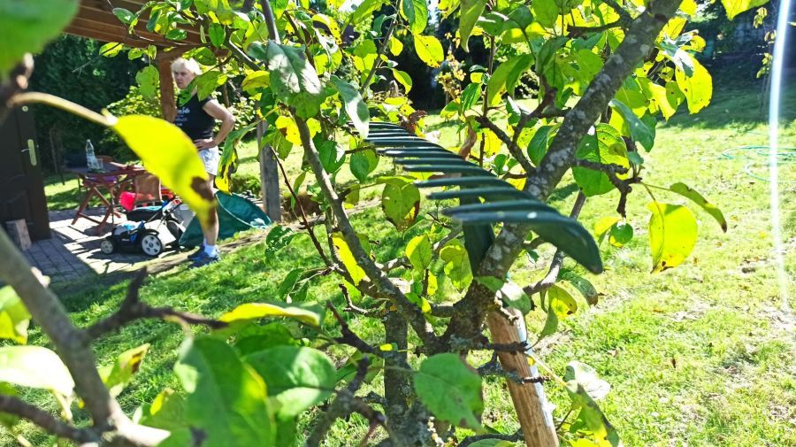 Działka rod Straszyn, ul. inż. A. Hoffmanna. Zdjęcie 19