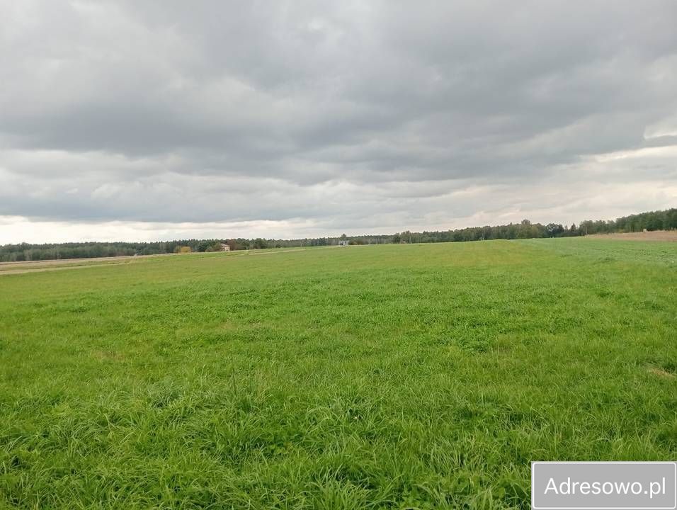 Działka rolno-budowlana Żyrzyn. Zdjęcie 4