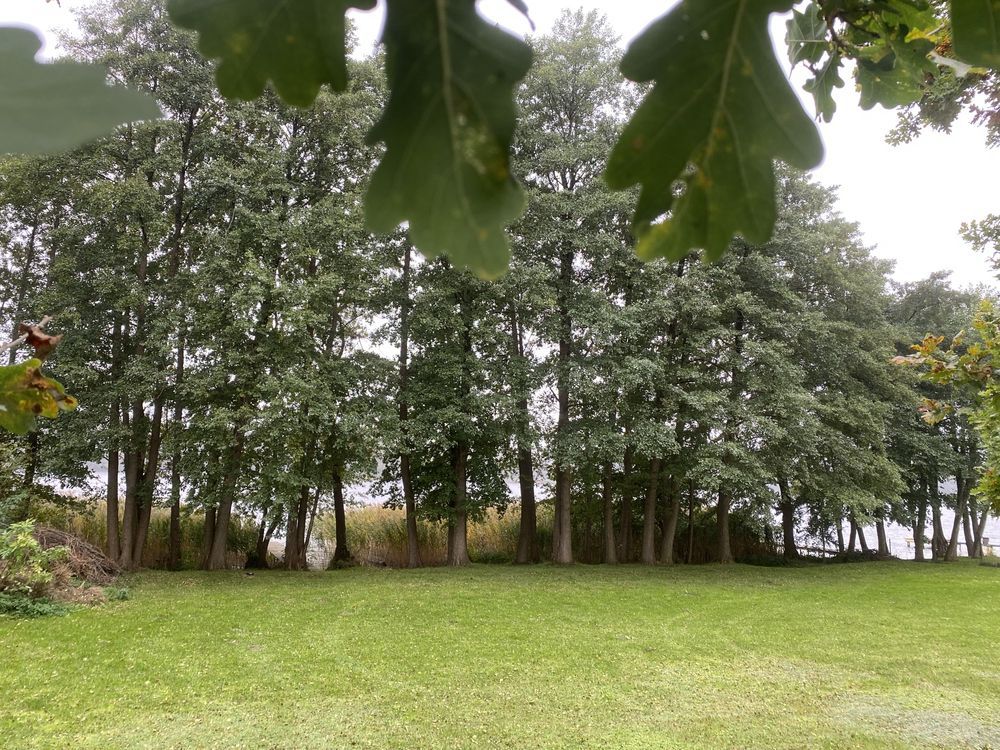 Działka rolno-budowlana Ługowo. Zdjęcie 5