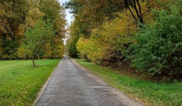 Działka rolno-budowlana Wilamów-Parcela