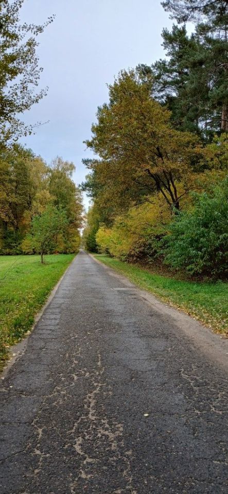 Działka rolno-budowlana Wilamów-Parcela. Zdjęcie 2