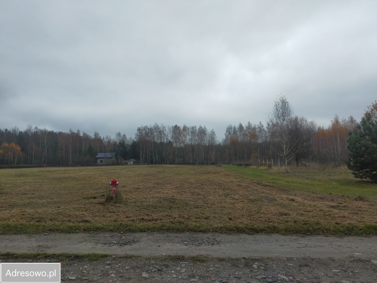 Działka rolno-budowlana Mokra Wieś. Zdjęcie 2