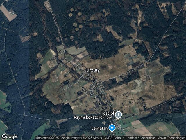 Działka leśna Urzuty. Zdjęcie 1