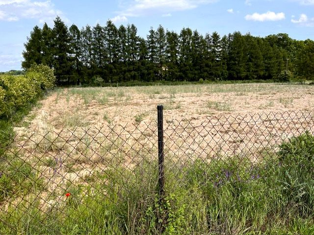 Działka rolno-budowlana Wólka Przybójewska. Zdjęcie 3