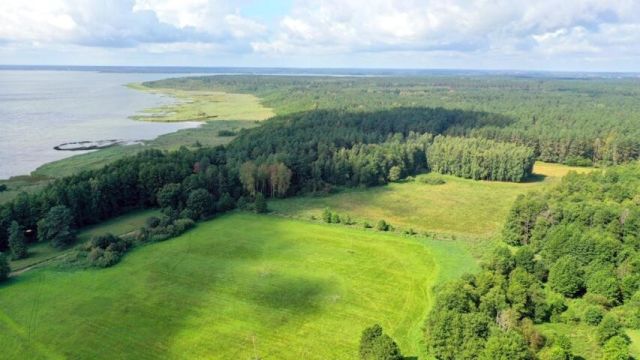 Działka rolna Dziubiele. Zdjęcie 3