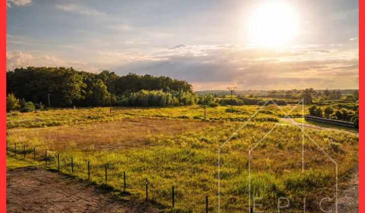 Działka budowlana Grzybowo