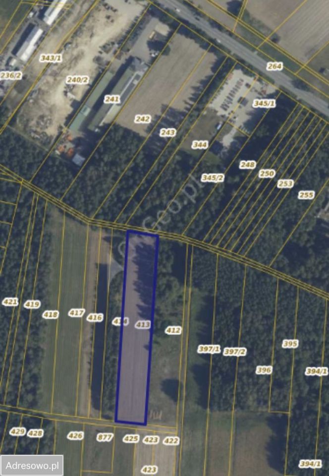 Działka rolna Zbuczyn. Zdjęcie 5