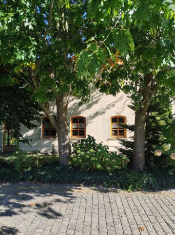 dom Przybyszów Korzeń. Zdjęcie 3