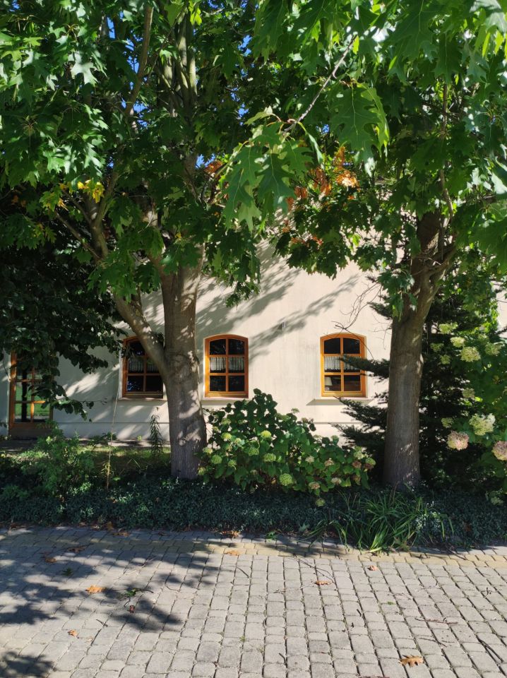 dom Przybyszów Korzeń. Zdjęcie 3