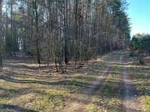Działka rolna Dąbrówka. Zdjęcie 1