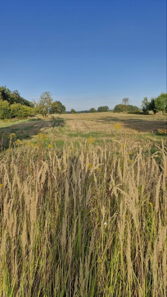 Działka rolno-budowlana Lubieniów. Zdjęcie 1
