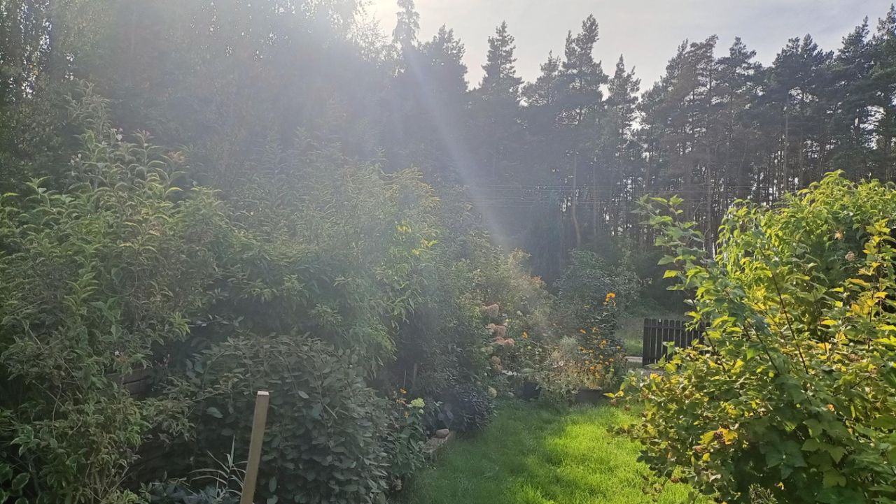 dom letniskowy, 6 pokoi Lipnica. Zdjęcie 3