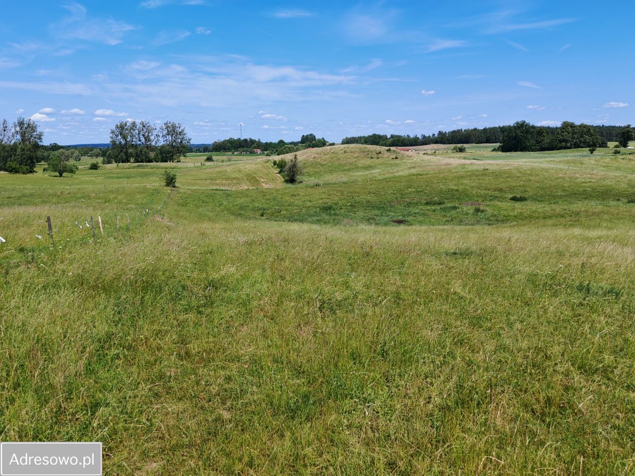 Działka rolna Dąbrówka. Zdjęcie 14