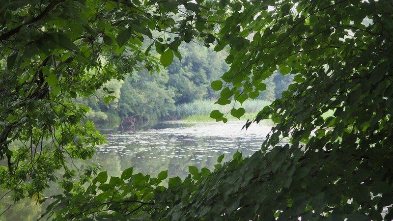 Mieszkanie 2-pokojowe Wrocław Krzyki, ul. Rybnicka. Zdjęcie 4