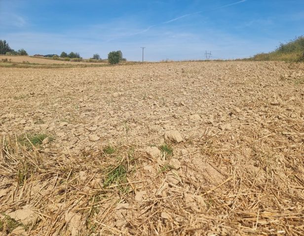 Działka budowlana Jastrzębie-Zdrój Bzie Zameckie. Zdjęcie 1