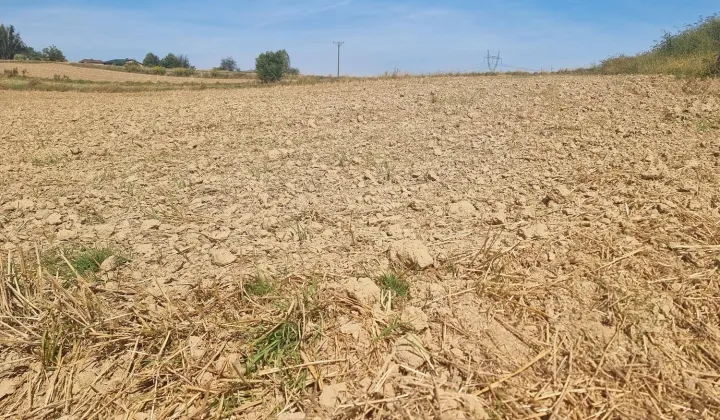 Działka budowlana Jastrzębie-Zdrój Bzie Zameckie