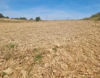 Działka budowlana Jastrzębie-Zdrój Bzie Zameckie