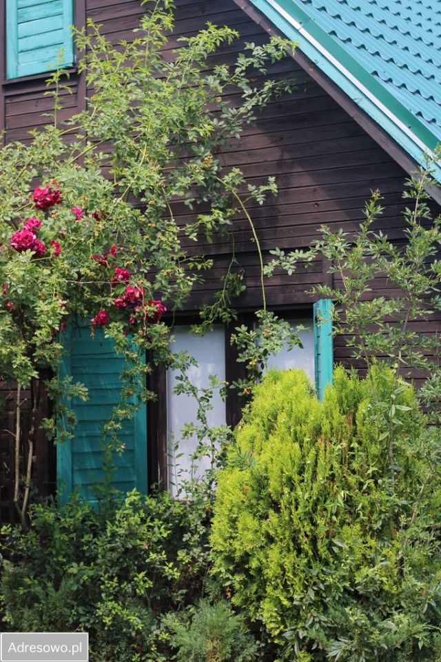 Działka rekreacyjna Ostrowo. Zdjęcie 9