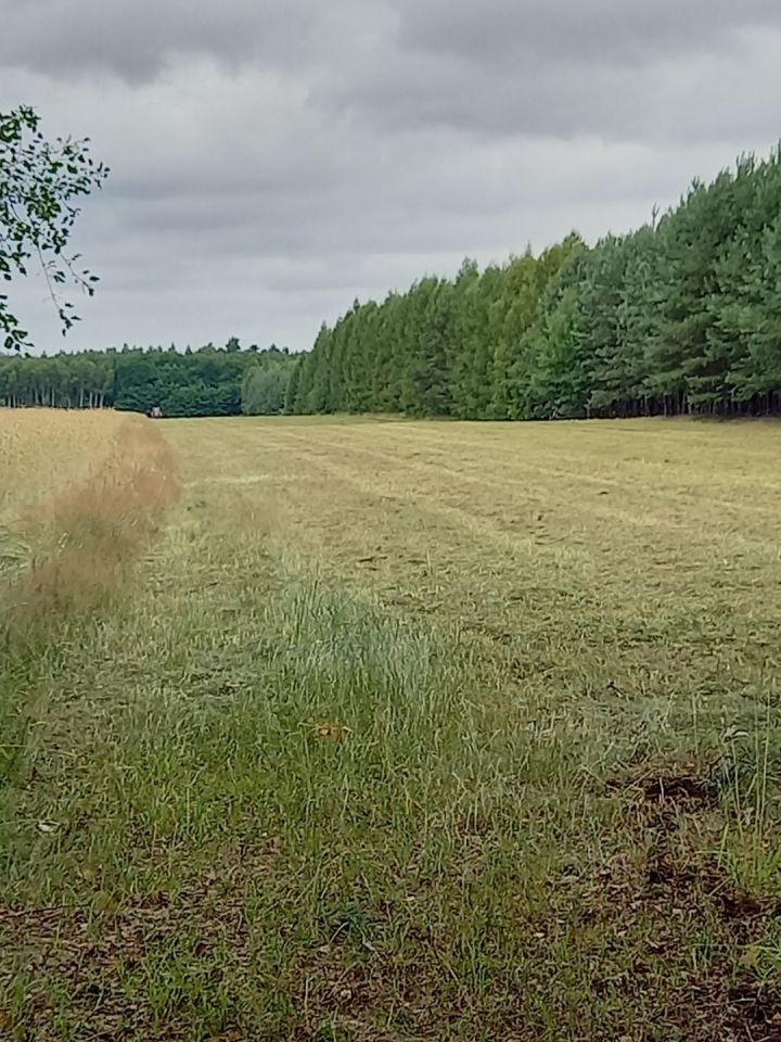 Działka rolno-budowlana Honoratów. Zdjęcie 5