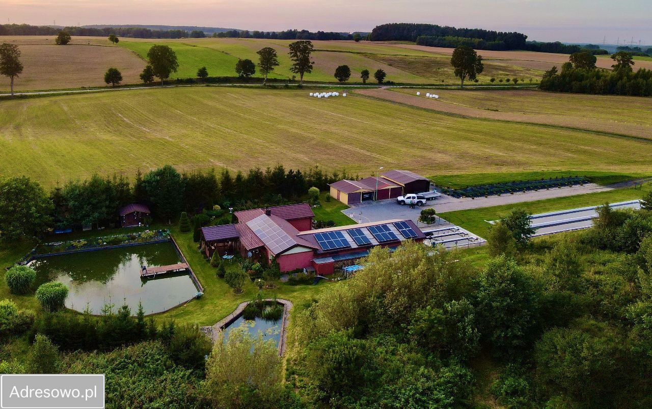 gospodarstwo, 3 pokoje Barcino. Zdjęcie 9