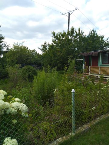 Działka rod Gola. Zdjęcie 1