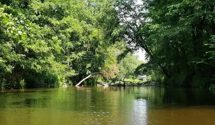 Działka budowlana Rybitwy