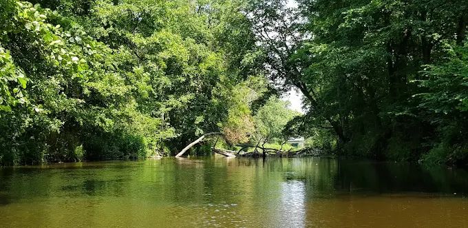 Działka budowlana Rybitwy