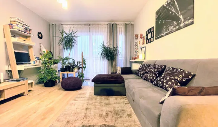 Mieszkanie 2-pokojowe Kraków Ruczaj, ul. dr. Jana Piltza