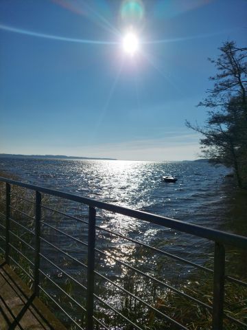 Działka rekreacyjna Morzyczyn, ul. Żołędziowa. Zdjęcie 15