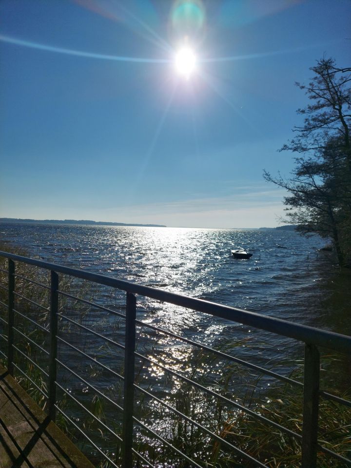 Działka rekreacyjna Morzyczyn, ul. Żołędziowa. Zdjęcie 15