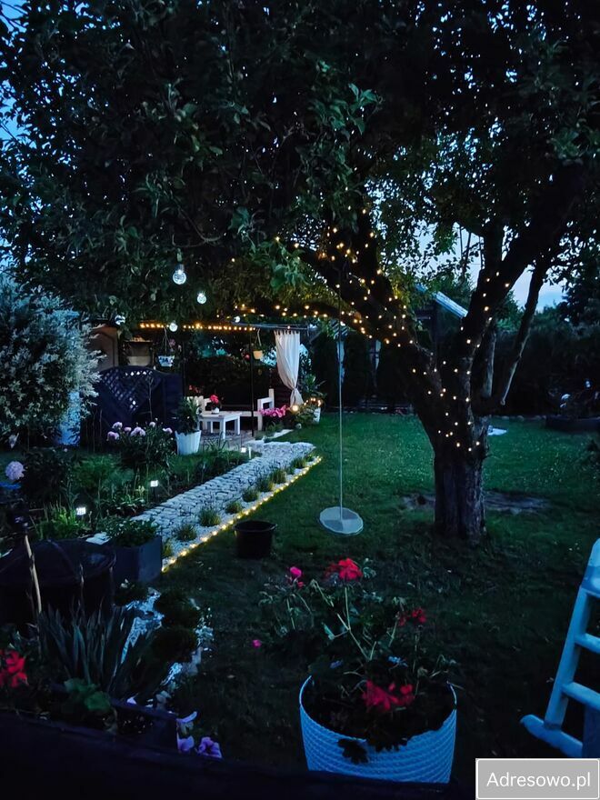 Działka rod Witkowo. Zdjęcie 5