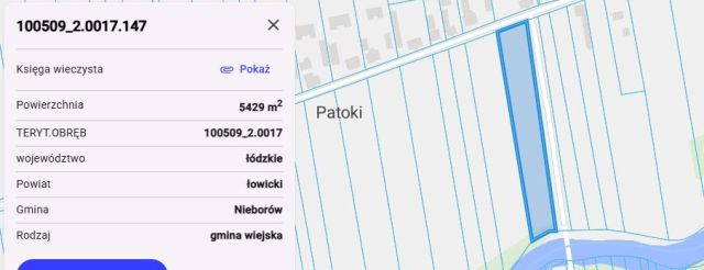 Działka rolno-budowlana Patoki. Zdjęcie 1