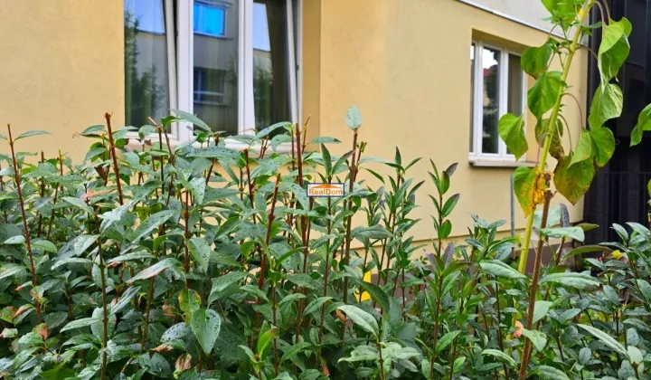 bliźniak, 5 pokoi Kraków Prądnik Biały, ul. Mariana Langiewicza