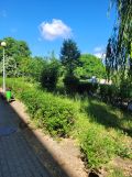 Mieszkanie 3-pokojowe Zielona Góra Centrum, ul. Aleja Wojska Polskiego. Zdjęcie 1