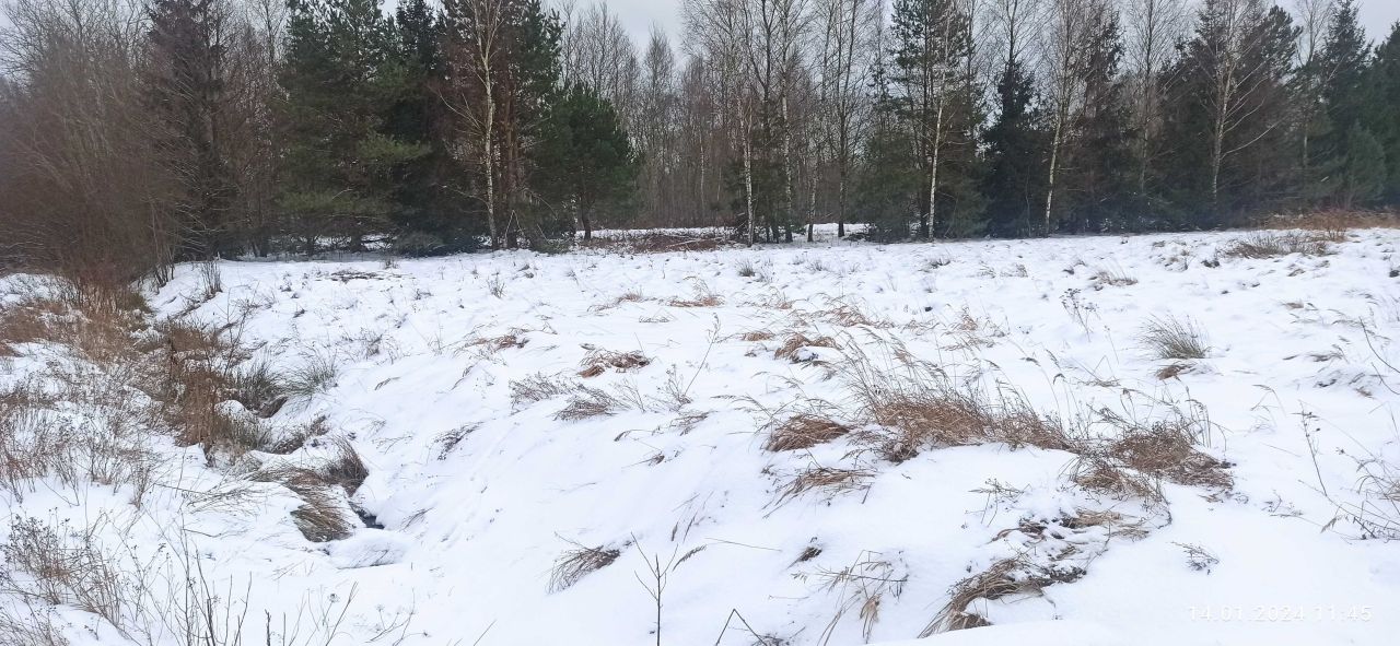 Działka rolno-budowlana Zaróg. Zdjęcie 6
