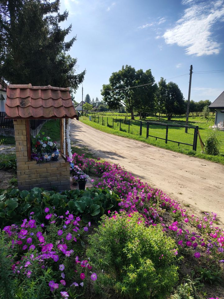 Działka budowlana Zabielne. Zdjęcie 12