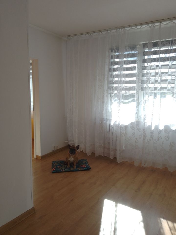 Zdjęcie 2