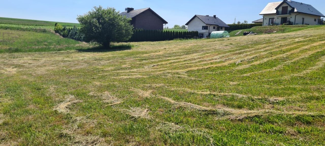 Działka rolno-budowlana Jastrzębie-Zdrój Ruptawa, ul. Ruptawiec. Zdjęcie 6