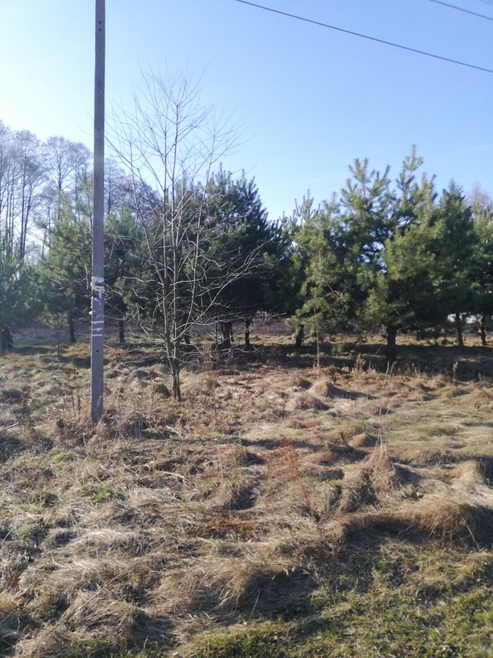 Działka budowlana Klwatka Królewska. Zdjęcie 2